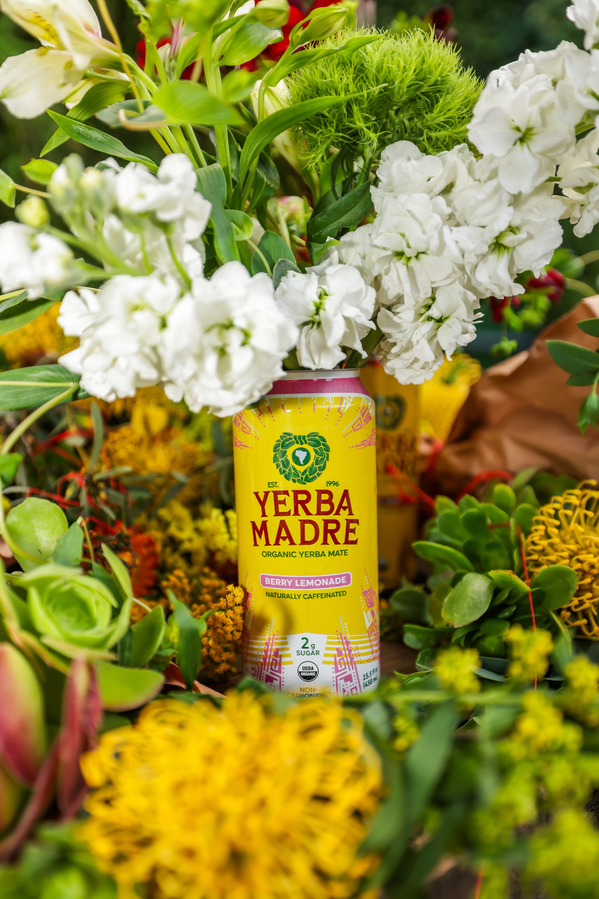 Yerba Madre